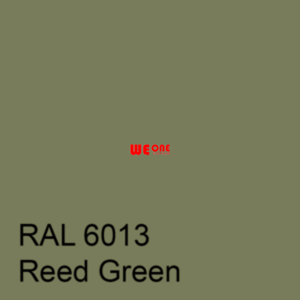 RAL 6013 Sơn quảng cáo 2K bóng hoặc mờ